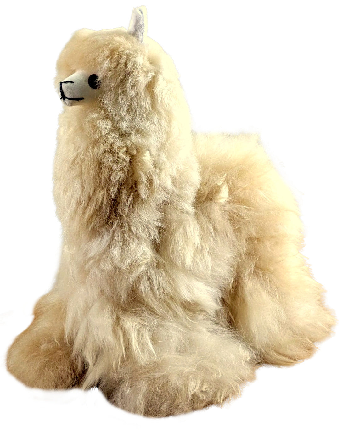 alpaca  stuffed animal
